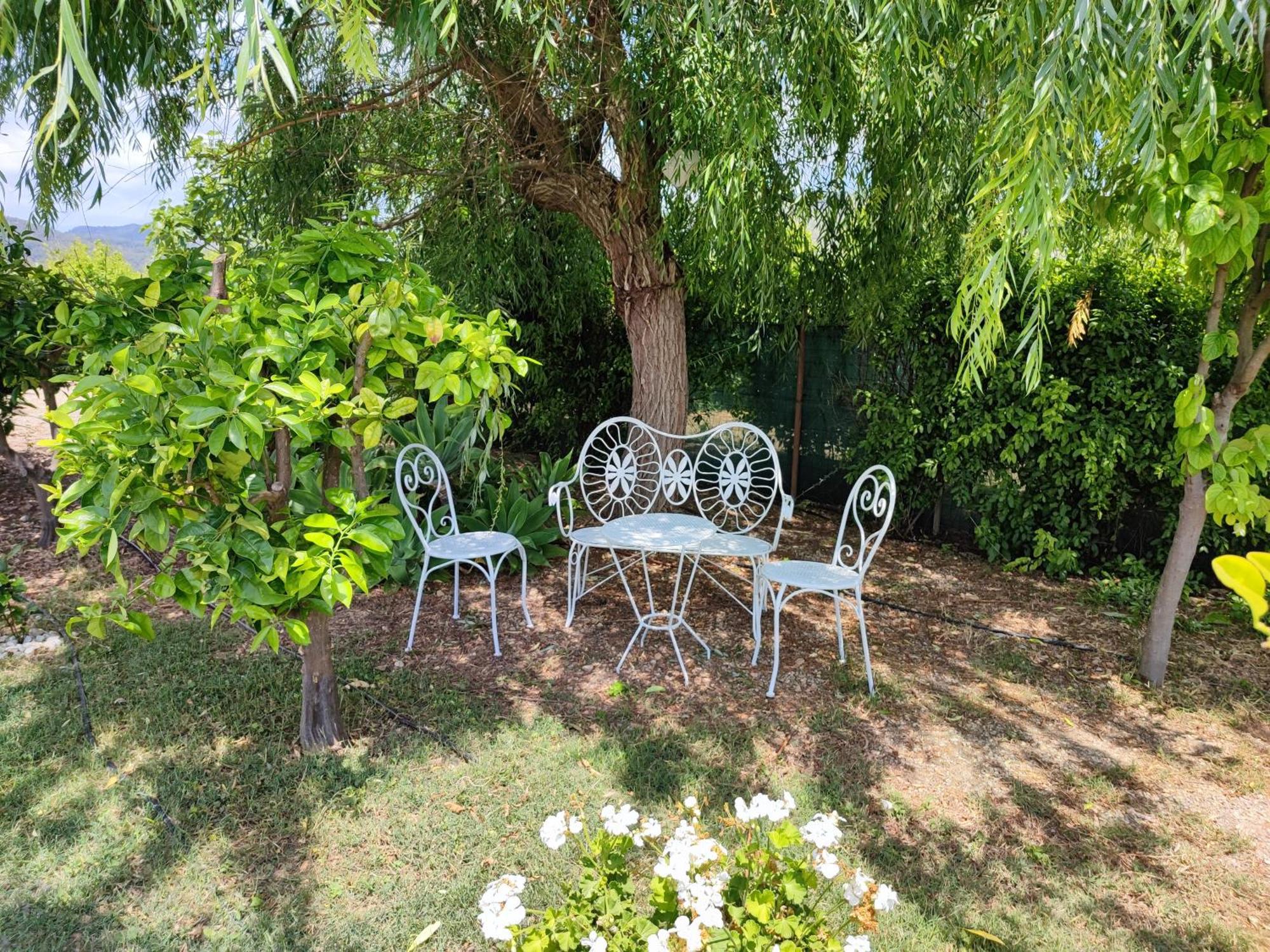 Vila Els Tarongers Perfect For Families Or Friends Sa Pobla Exteriér fotografie